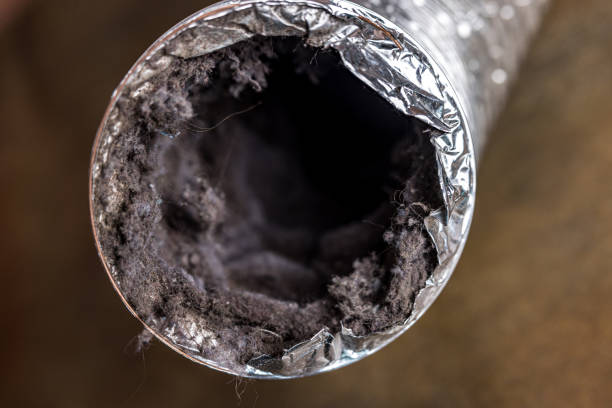 Best Local Air Duct Cleaning Services  in Pineville, KY