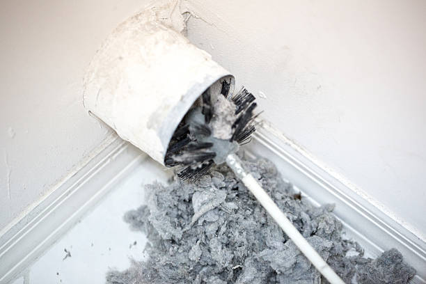 Best Local Air Duct Cleaning Services  in Pineville, KY